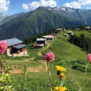 Pokut Yaylası Turu