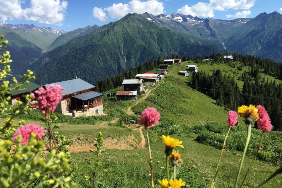 Pokut Yaylası Turu
