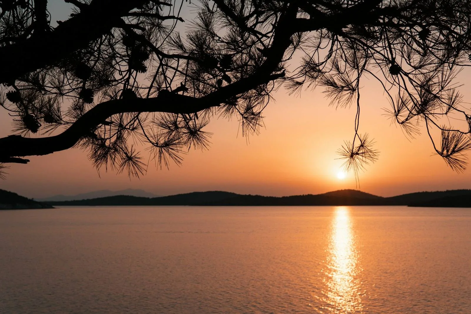 Egenin Tarihi izleri ve Çanakkale Destanı Turu — fotoğraf 2
