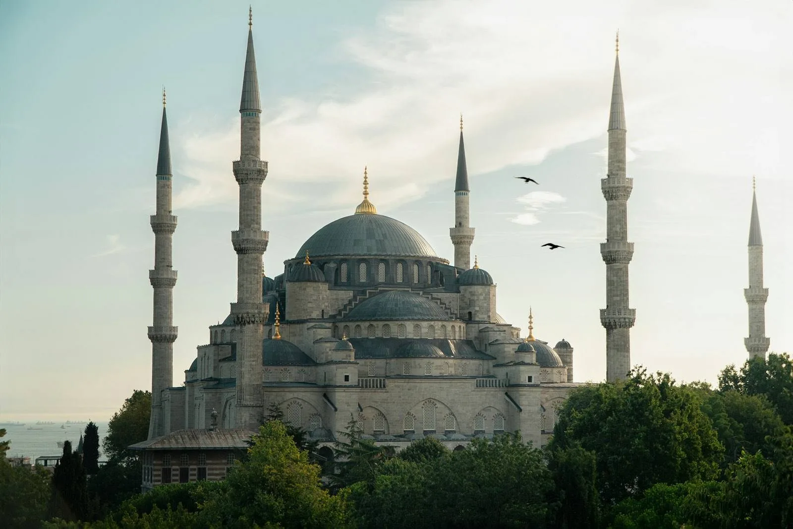 Üniversiteler Turu — fotoğraf 5