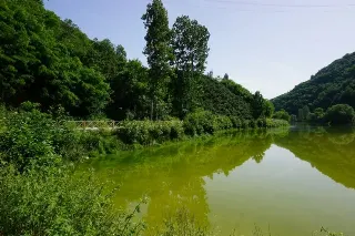 Hıdırnebi Turu