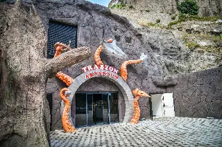 Akvaryum