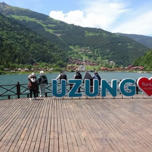 Trabzon'da Çay Bahçeleri ve Çay Toplama Deneyimi