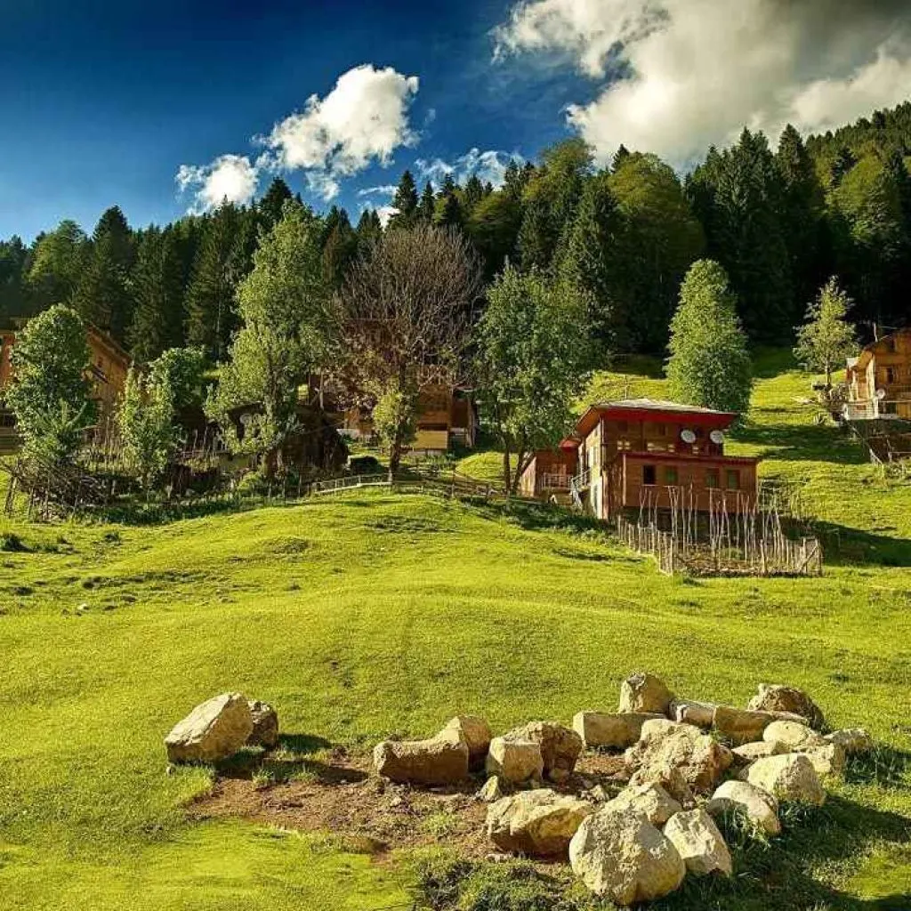 Ayder Yaylası genel görünümü ve yeşil vadi manzarası