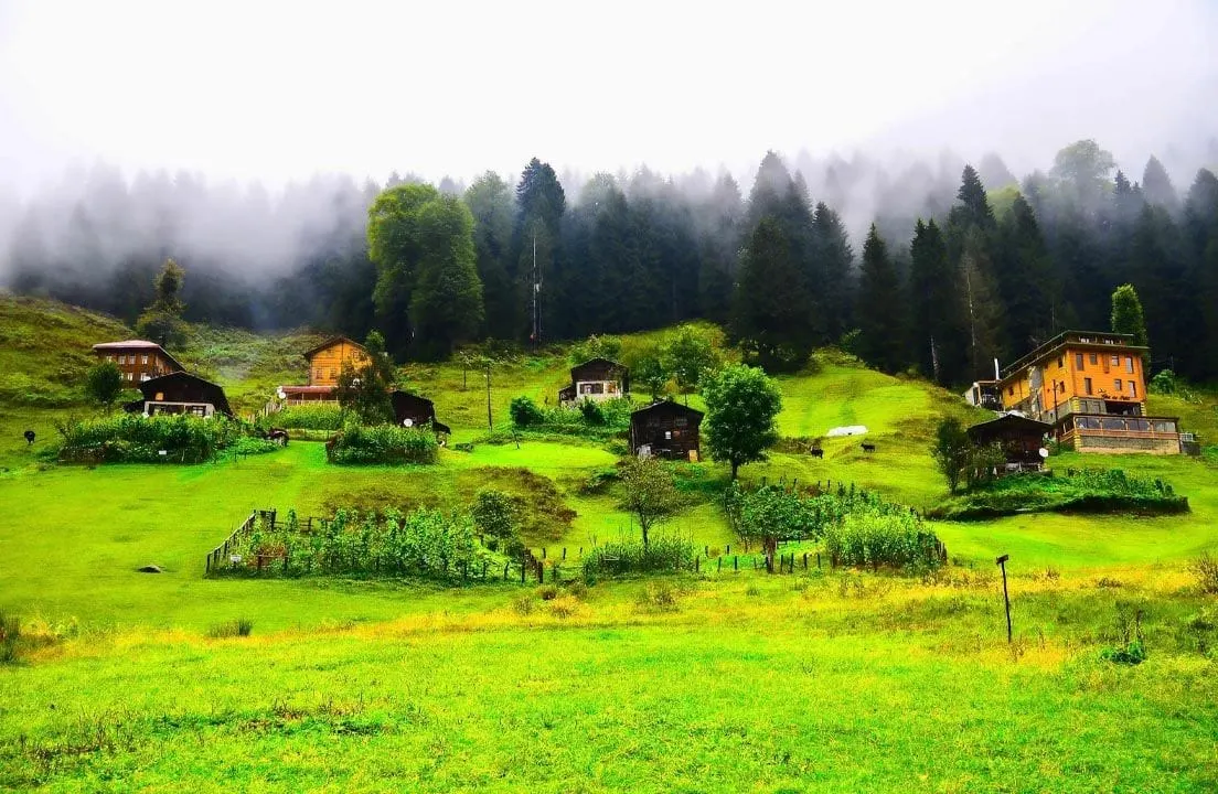 Ayder Yaylası