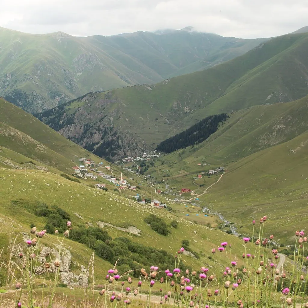 Uzungöl’ün yukarısındaki Demirkapı Yaylası ve yayla evleri