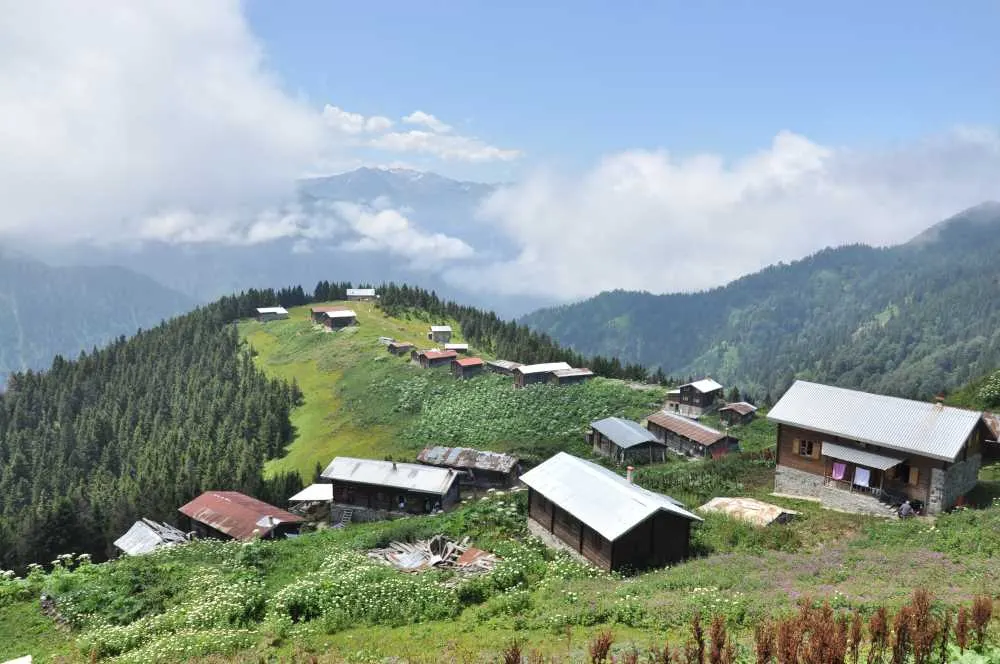 Pokut Yaylası yöresel Karadeniz mutfağı ve yayla evleri