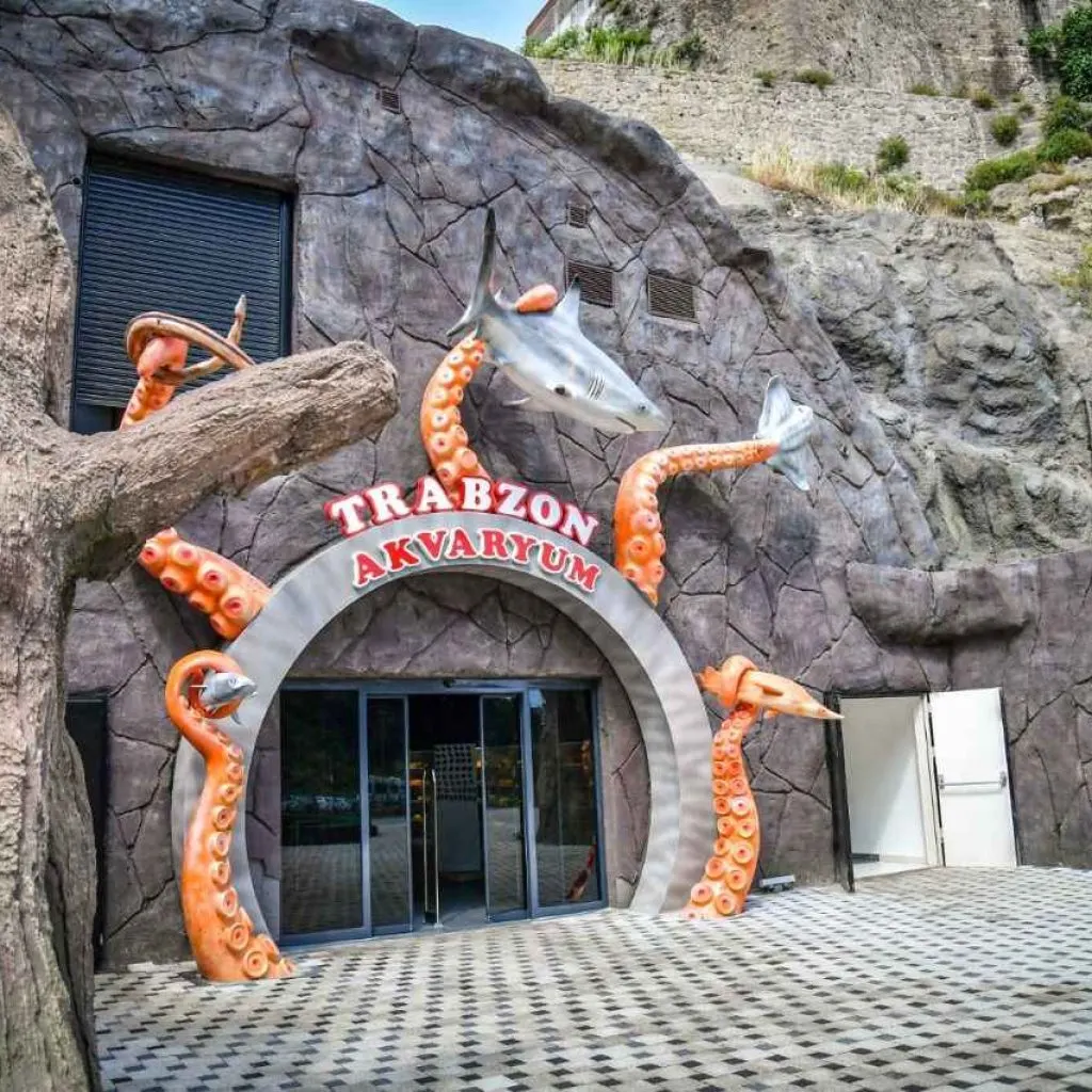 Trabzon tünel akvaryumunda balıklar