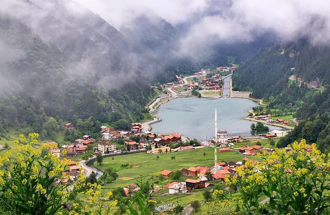 Karadeniz Yaylaları Rehberi: Hangi Yaylaya Ne Zaman Gidilir?