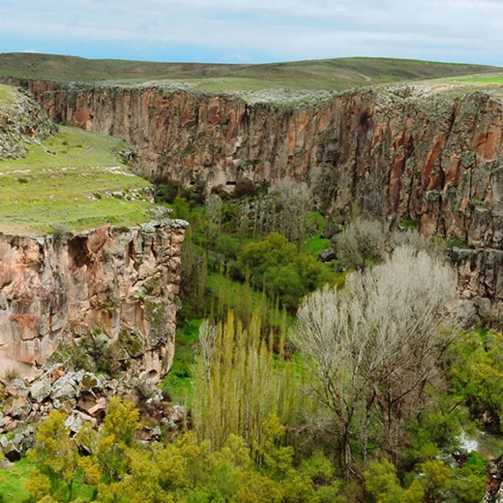 Kapadokya Turu