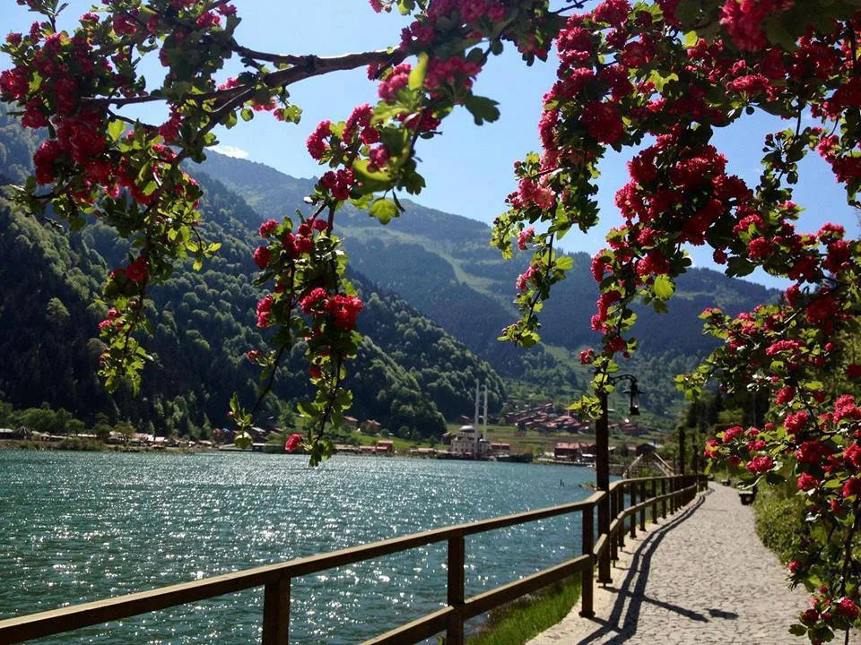 Uzungöl Turu